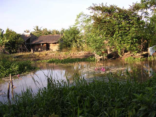 This tranquil lily pond is in fact a bomb crater