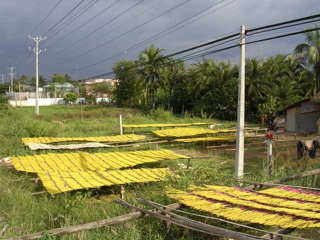 Yet more, laid out on racks to dry, and hoping those clouds don't fulfil their threat