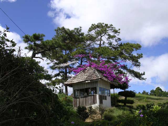The bougainvillea-draped hut at the entrance to the golf club