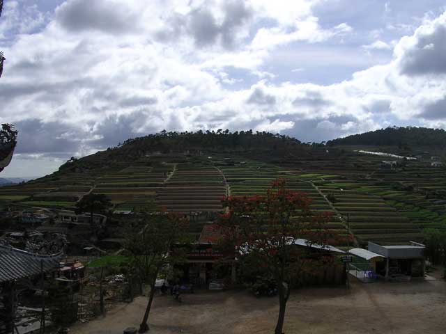 Splendid view from the roof