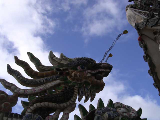 One of the roof dragons with its novel nasal hair