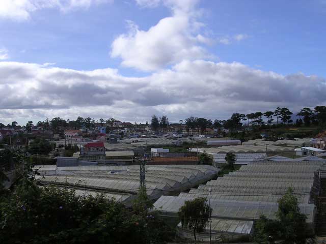 Industrial scale agriculture