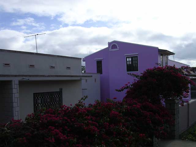 A brightly coloured house by the track