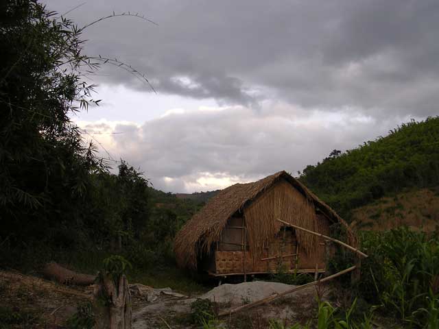 Another example of the local thatching