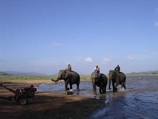 Bare-back riders across the lake - note Junior on the middle one, probably on the way to school