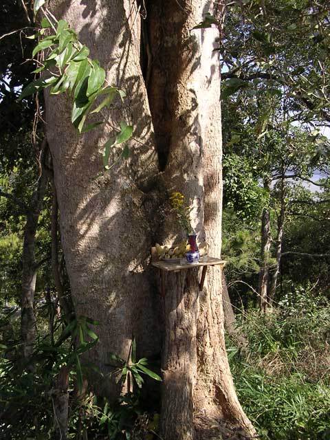 A tiny makeshift roadside shrine
