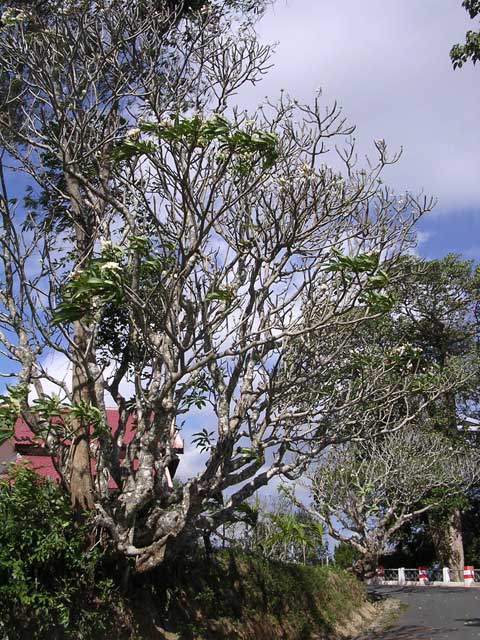 Approaching the lodge