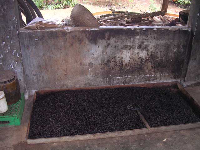 These have been roasted, and they smelled heavenly