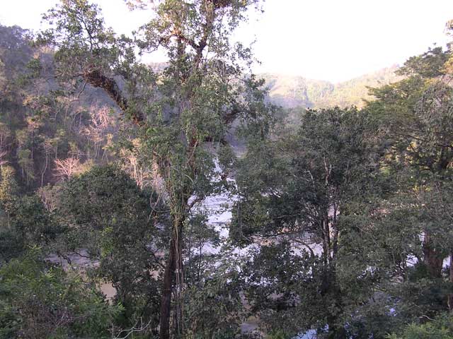 Looking back down towards the pool