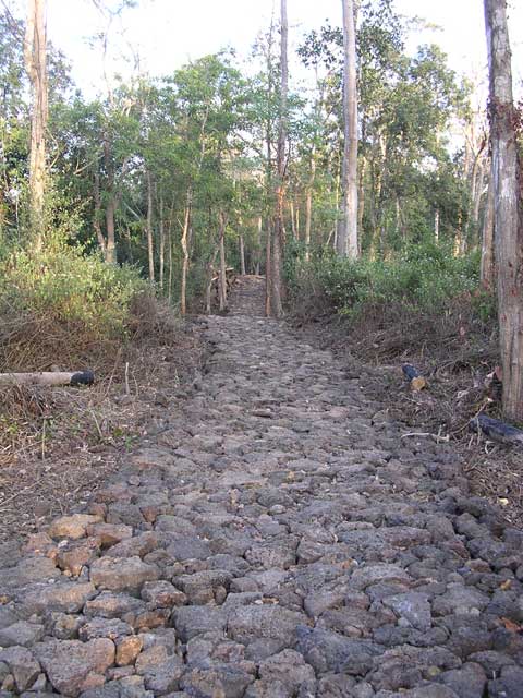 The path back to the bikes