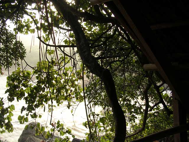 From our balcony, looking down to the river