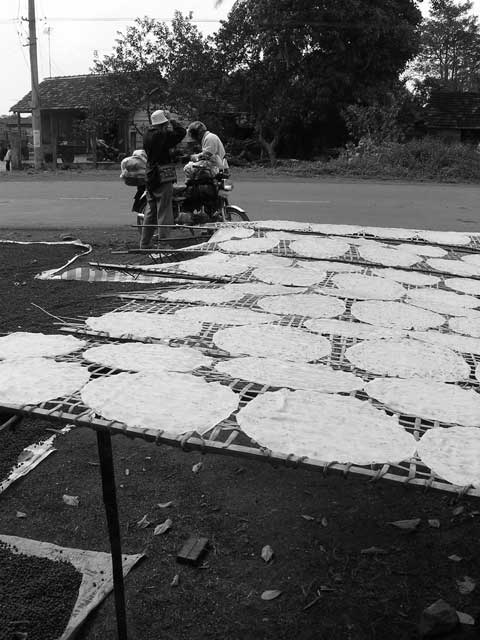 The rice paper laid out to dry
