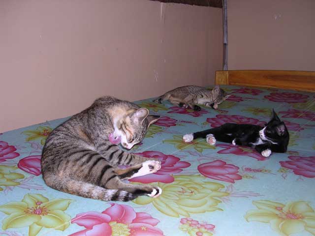 Time for a wash after all that - in our room!