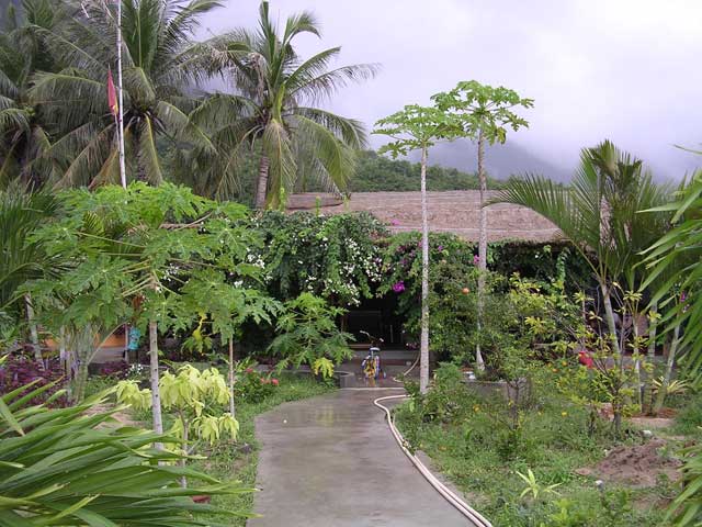 The delightful, if rainy, Jungle Beach resort