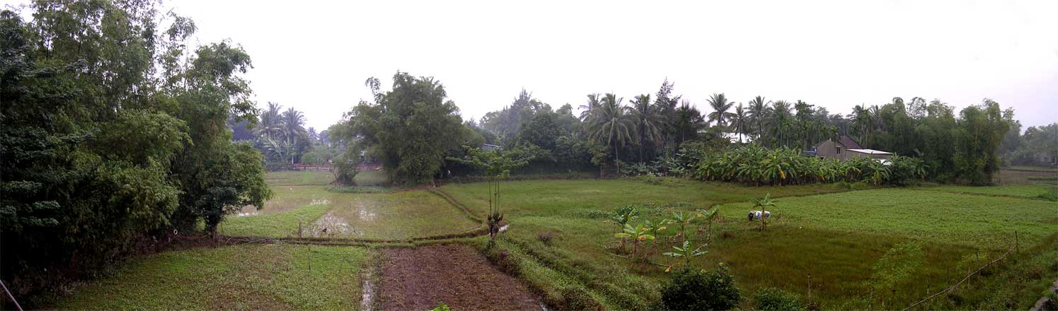 ...and the view from it, with workers in conical hats, accompanied by the croaking of hundreds of frogs<br />(composite of 3 photographs)
