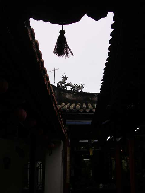 Dragon and TV aerial (the latter possibly next door)