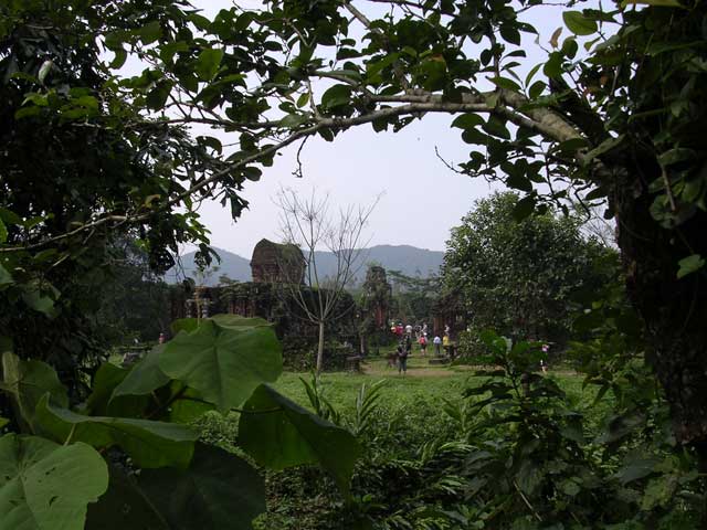 A more distant view through the foliage