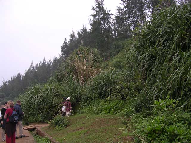 ...coming out here...