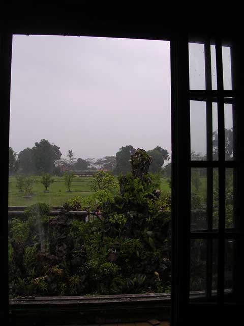 Looking out into the rain