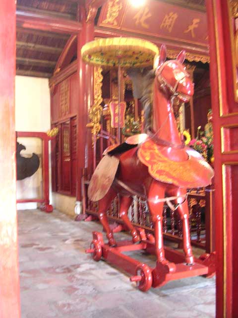 Oops! The camera shook while attempting to take this ceremonial horse without flash