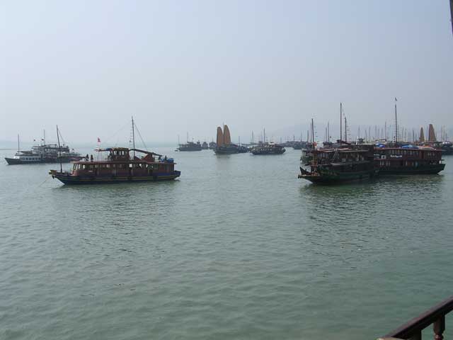 The boats disperse across the bay - and there's plenty of room for them!