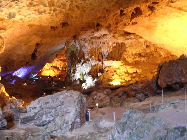 Another chamber, complete with penguin litter bin