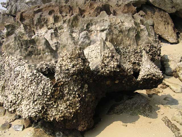 Some of the rocks are curious shapes