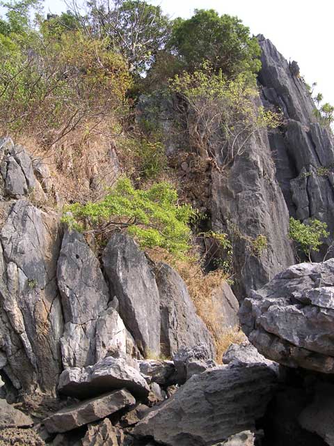 Looking up at the island, showing the jagged limestone rocks