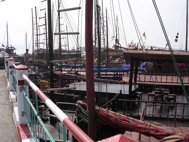 A confusion of masts