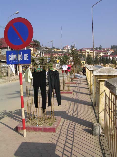 Vietnam: Sapa region - washing drying on the sapling protectors