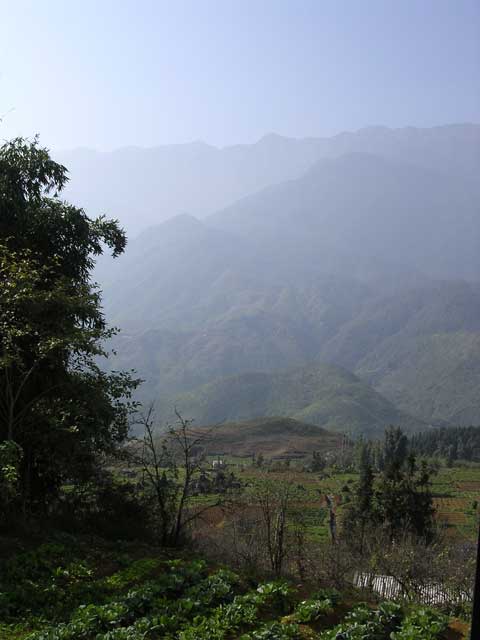 Sudden view from between two houses