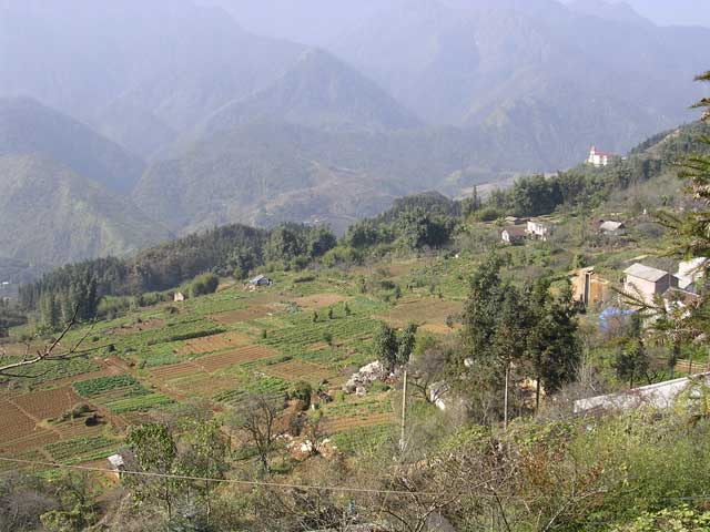 A market garden on the edge of town