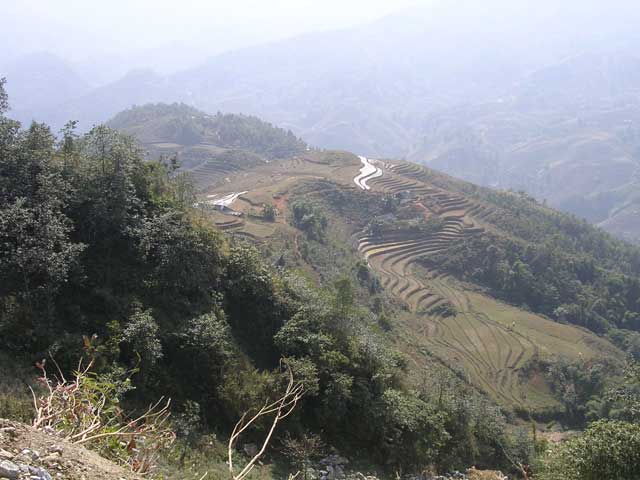 ...so we make no apology for it.