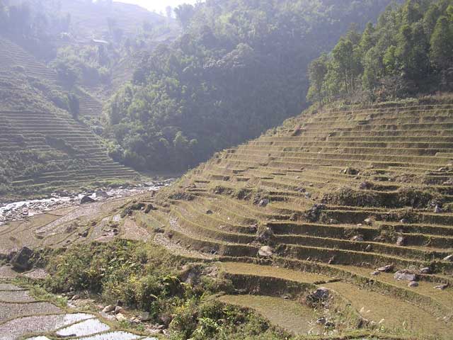 The terraces are all paddies for growing rice...