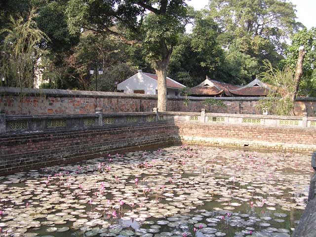 Another pond, full of lilies