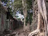 Along the inside of one of the walls