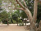 Across the village square to the stilt-houses