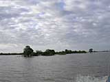 Out through the flooded forest