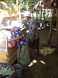 Extracting sugar from pieces of sugar palm in Cambodia