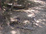 Bones and bits of clothing still litter the area.