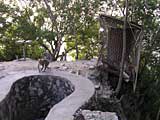 Tethered and caged monkeys at the top os Sam Mountain, Mekong Delta