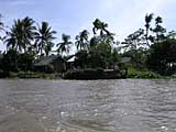 This may be a water-hyacinth harvest, or simply clearing the waterway