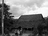 Domestic scene outside a splendidly thatched house