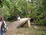 A bridge across a stream - the site's all beautifully appointed