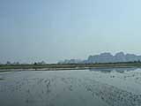 Approaching by bus: the first glimpse of some karsts across the rice paddies