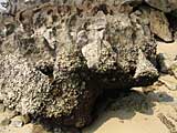 Some of the rocks are curious shapes