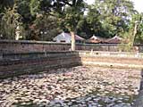 Another pond, full of lilies