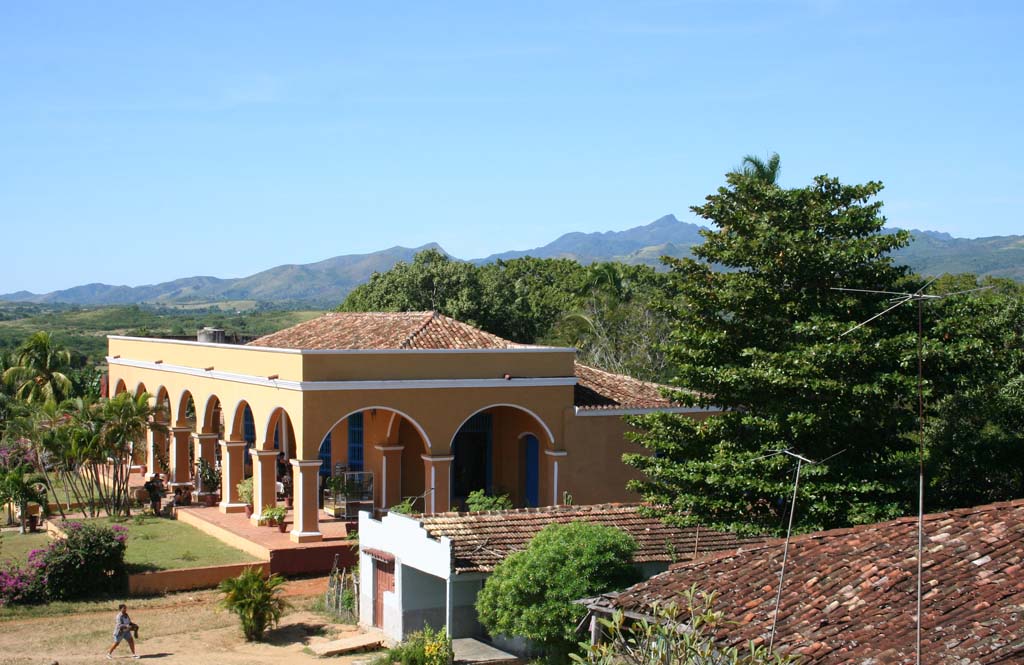 The house from a low level.