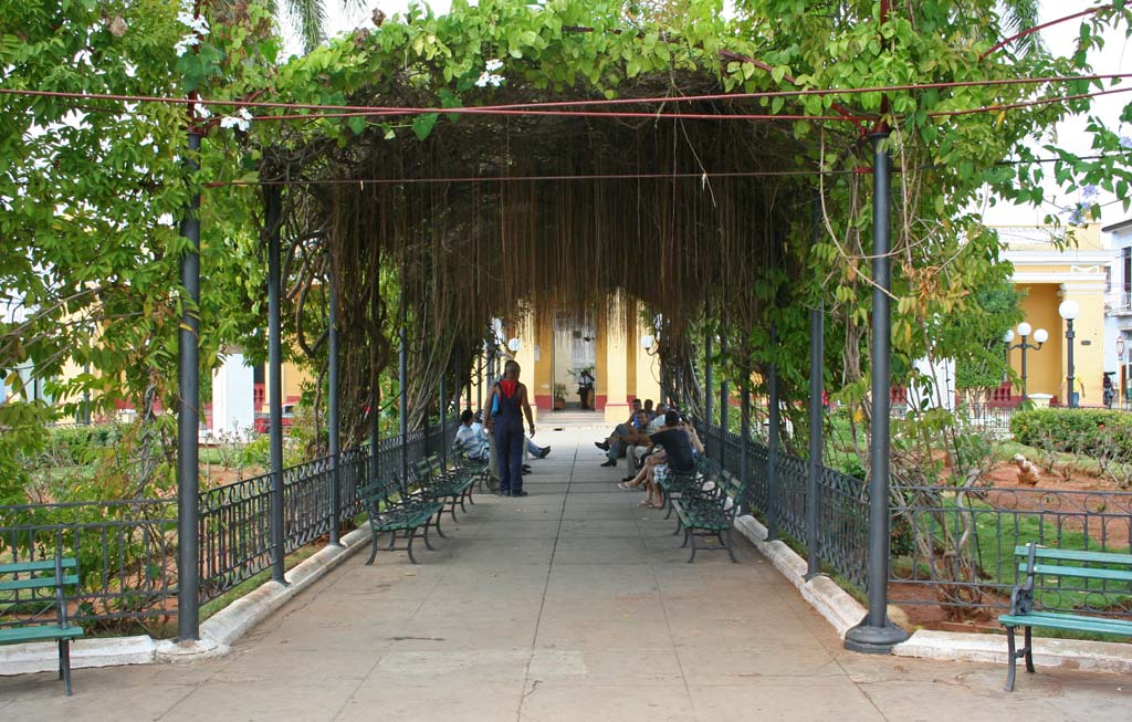 The shady pergola across the centre of the park.