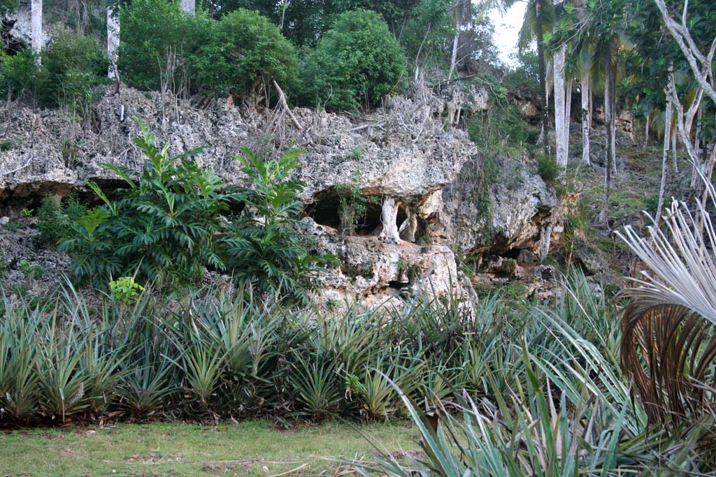Dramatic limestone rocks.
